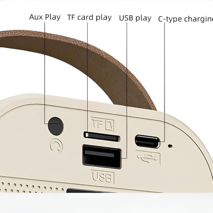 Portable speaker set with 2 microphones, wireless, Bluetooth, speaker 5 W