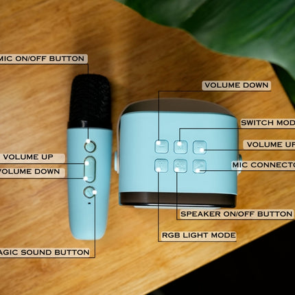 Portable speaker set with 2 microphones, wireless, Bluetooth, speaker 5 W